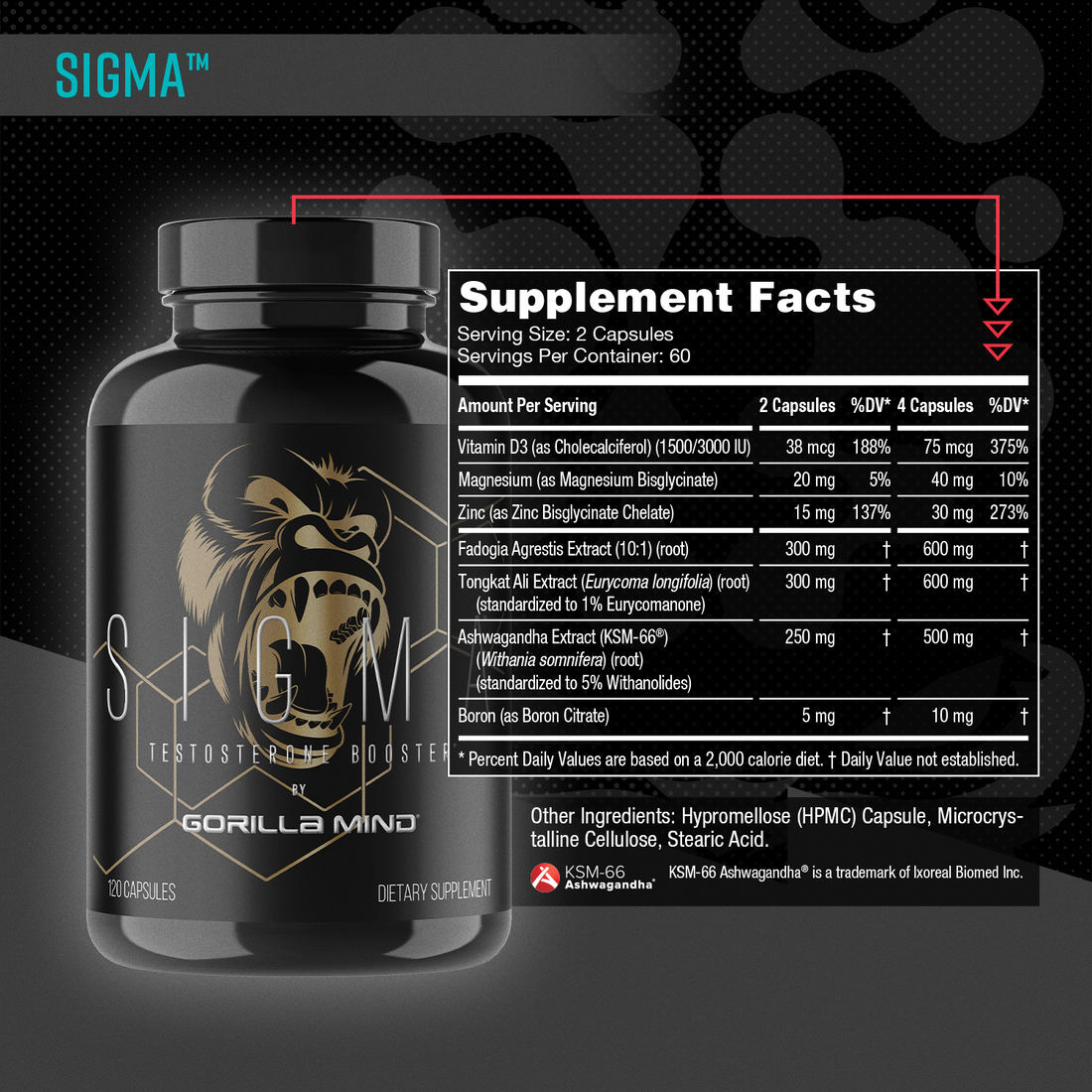 Gorilla Mind Sigma