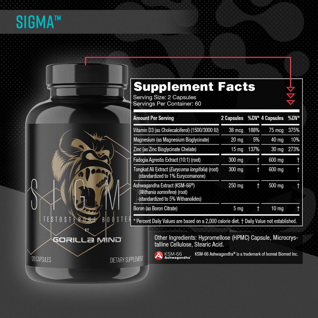 Gorilla Mind Sigma