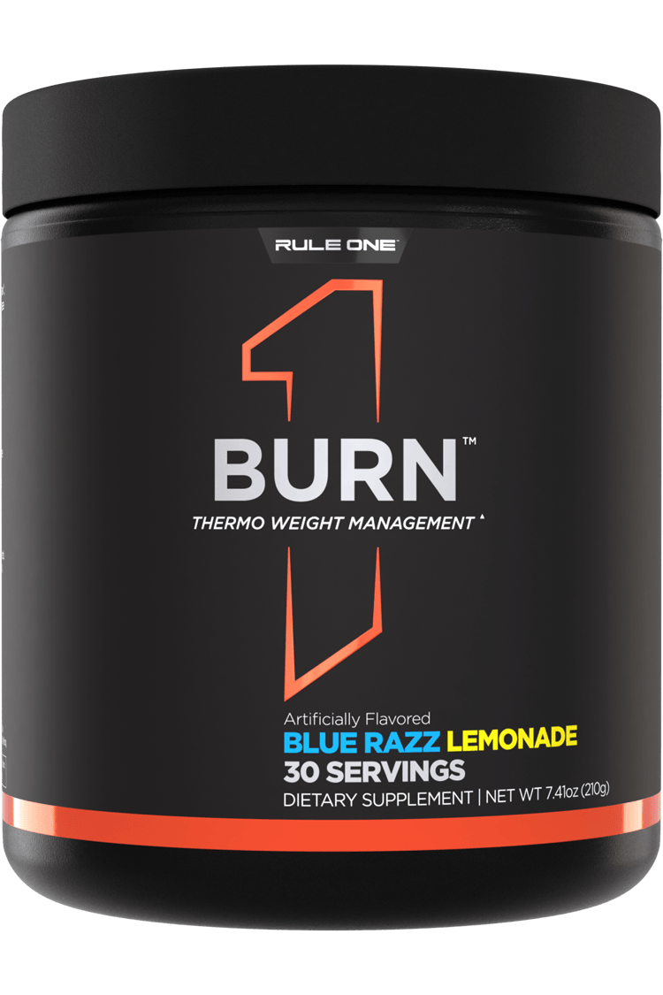 rule 1 l carnitine Lean decadent taste of Rule One R1 Clean Gainer in Chocolate Fudge flavour Premium L-Carnitine (30 SERVINGS) by