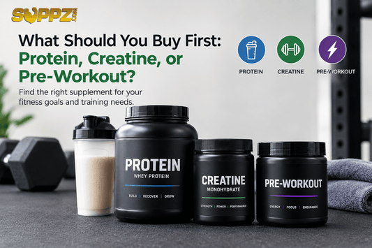 buy muscle building supplements