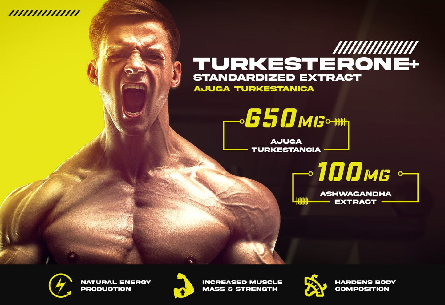 Repp Sports Raze Turkesterone+ (60 Caps)